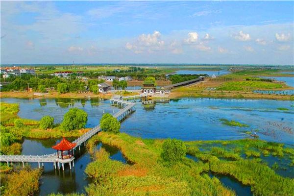 溱湖湿地农业生态园