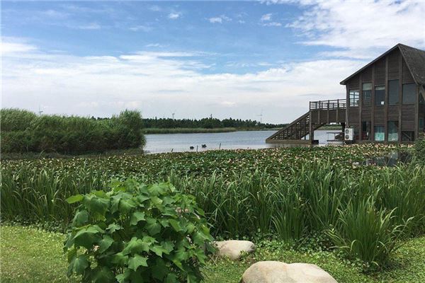 东滩自然保护区