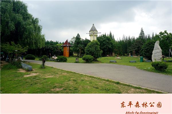 东平林场公园