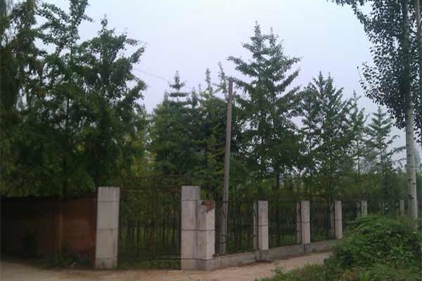 新林区中心苗圃