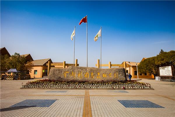 泽普县金胡杨景区