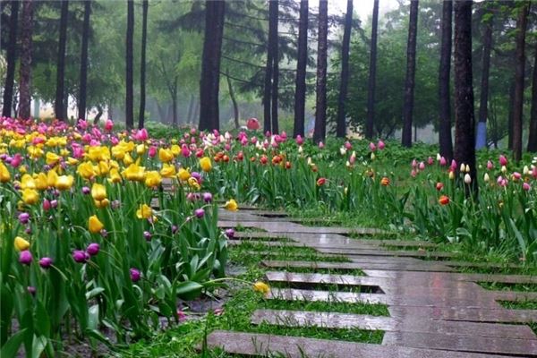 哈尔滨森林植物园