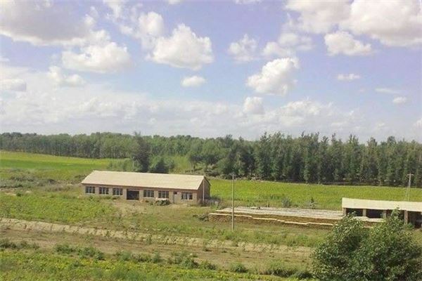 东沟湿地狩猎场