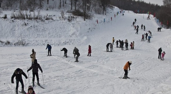 金霖森林公园滑雪场