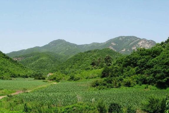 白鹭洲野生动物保护区