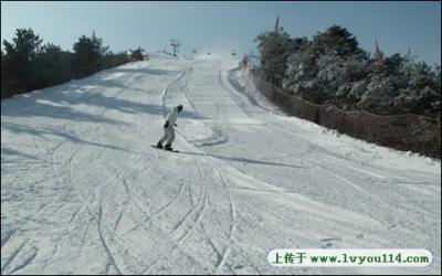 绿园小马驹滑雪场