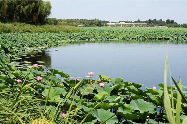 沈阳仙子湖风景旅游度假区