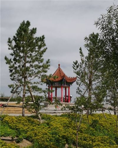 乌兰花生态公园