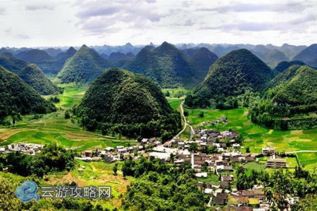 大寨村生态农业园