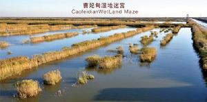 曹妃甸湿地迷宫