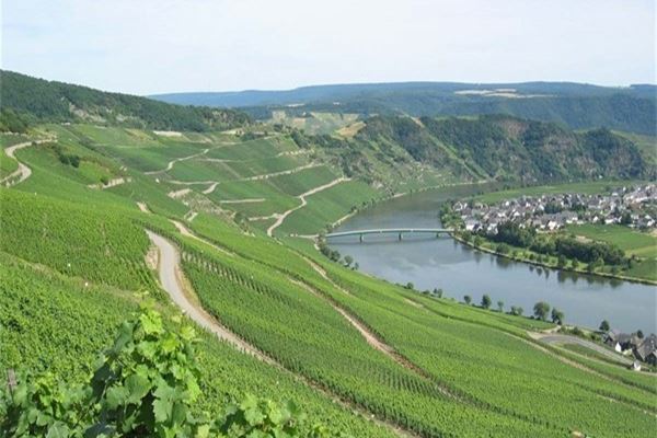 天津葡萄谷生态园林