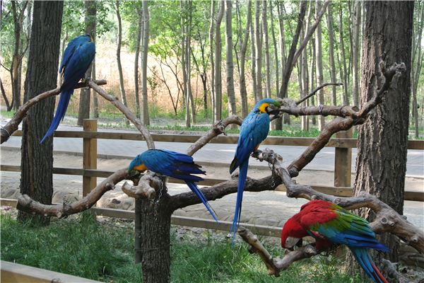 大兴野生动物园