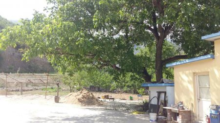 锦乡逸轩农家院