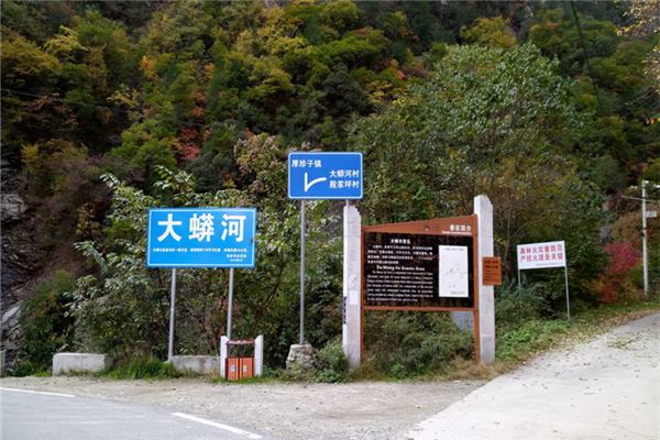 黑河森林公园