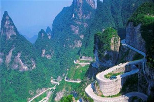 王顺山森林公园