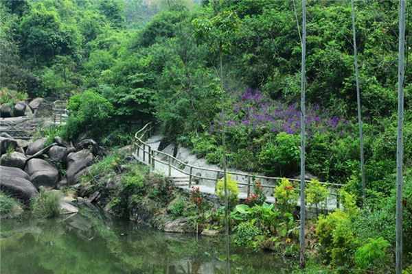 潮州市紫莲森林度假景区
