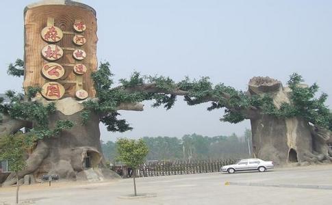 夏津黄河故道森林公园