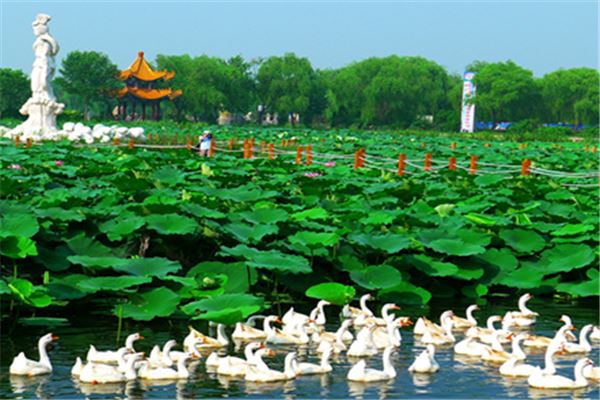 内江隆昌石牌坊群