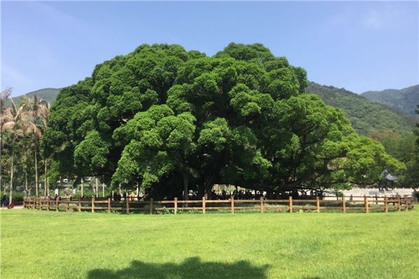 福州国家森林公园