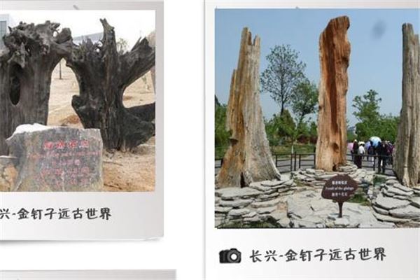 金钉子远古世界