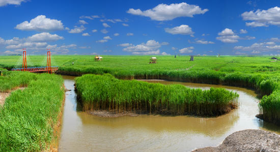 鼎翔生态旅游度假区