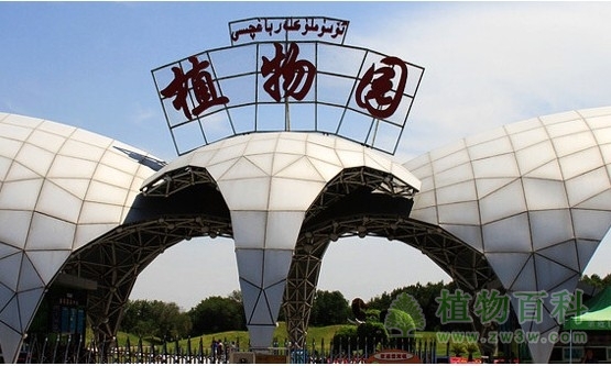 乌鲁木齐植物园