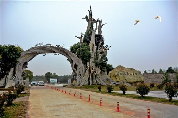 东明黄河森林公园