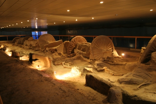 淄博古车马博物馆