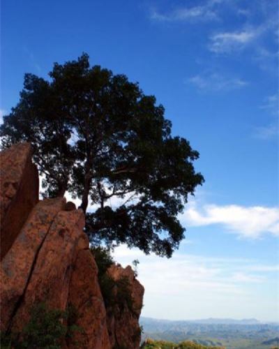 白狼山自然风景区