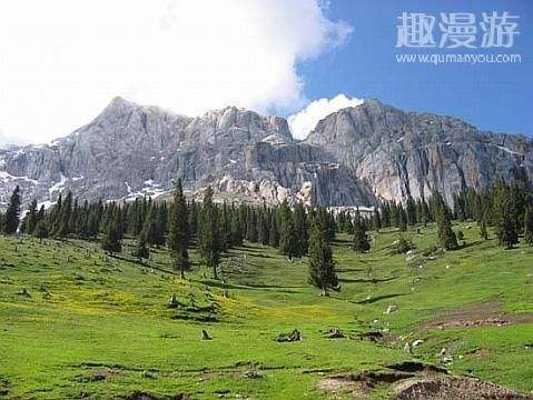 琼博乐森林公园