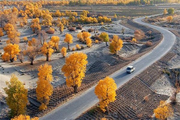 塔克拉玛干沙漠探险观光旅游区