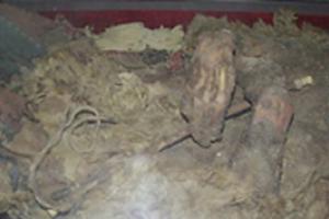 扎滚鲁克古墓葬