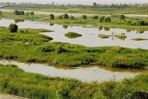 泾渭湿地自然保护区
