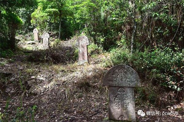 顺荡村大慈寺火葬墓群