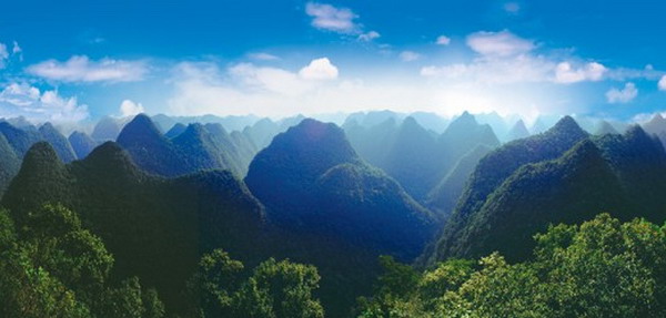 茂兰喀斯特森林