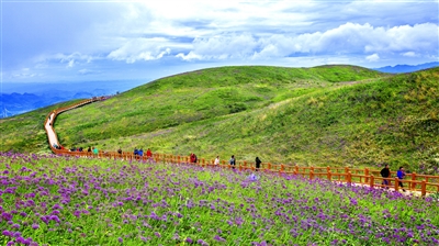 岩孔农业旅游示范区