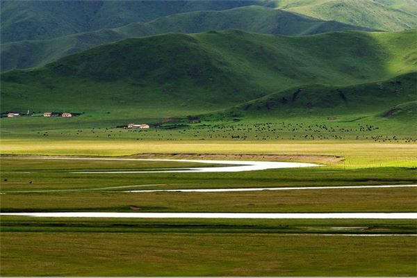 阿坝若尔盖大草原