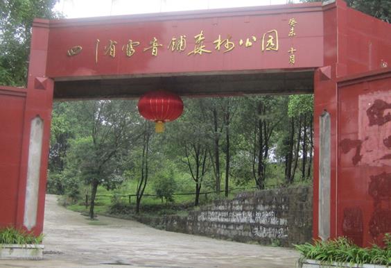 雷音铺森林公园