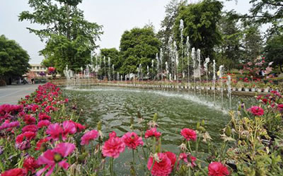 水天花月·泡菜城