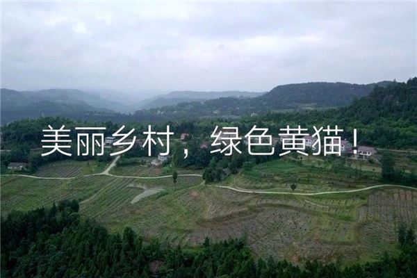 黄猫垭战斗遗址