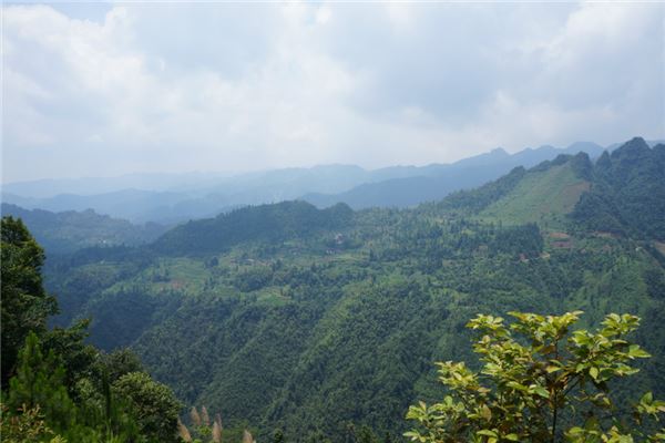 灌阳太子山原始森林