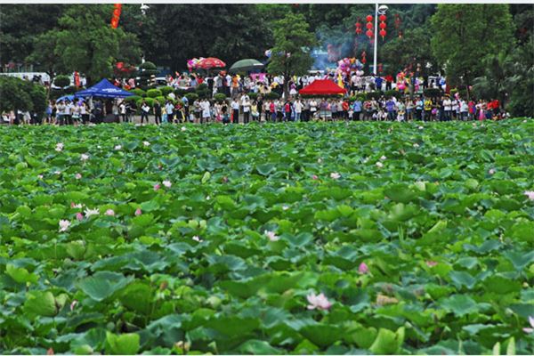 东莞莲湖公园