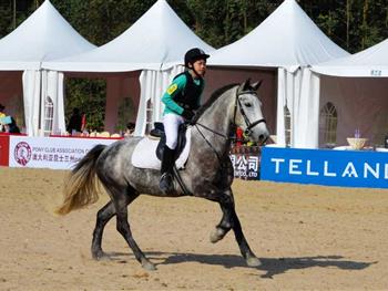 英姿马术俱乐部