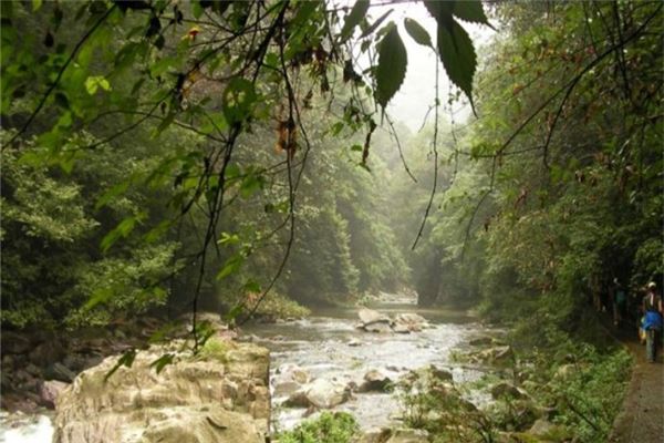 小溪国家自然保护区