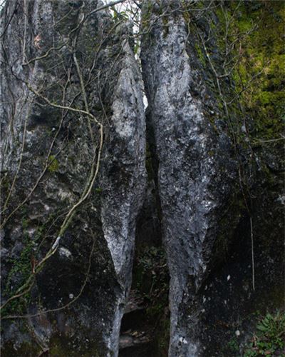 乌龙山地质公园