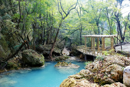 大口国家森林公园