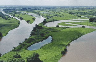 淮南湿地省级自然保护区