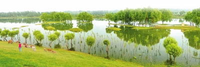 金堤河国家湿地公园