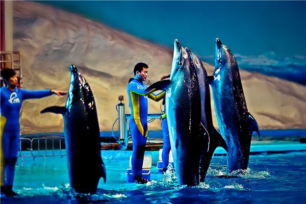青岛海昌极地海洋世界