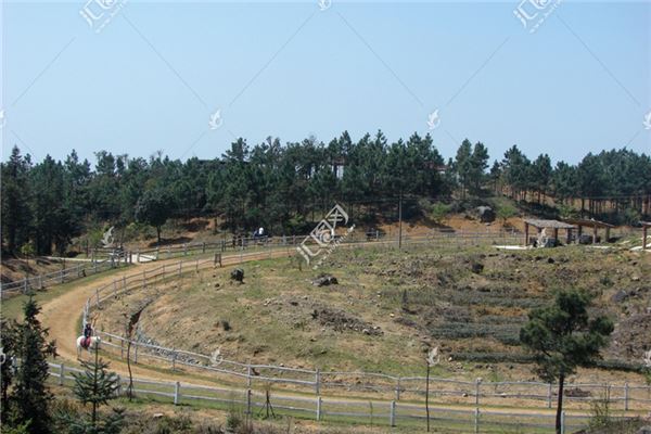 骑士山庄跑马场